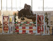Dahila della Verdina TosTour2013- S5 3100 : Arezzo, Arezzo Equestrian Centre, Cavalli d'Italia, Dahila della Verdina, Toscana Tour 2013, foto di Stefano Secchi ©